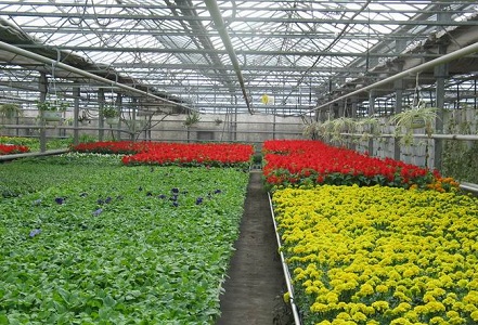 ���ܜ��Ҵ���