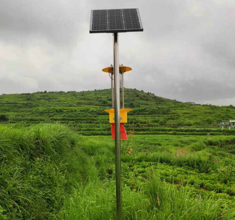 �l��ʽ̫��ܚ��x���ھGɫ�����еõ��Nֲ�ߵďV�����u