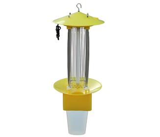 ���w  �l��ʽ���x��