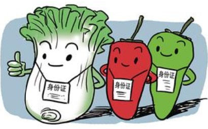 農(nóng)產(chǎn)品質(zhì)量安全追溯系統(tǒng)