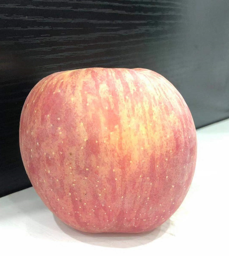 ƽ�����Ҹ���ʥ�QҪ�옷�����w�Ԑ�֮����Ҫ��һ������������