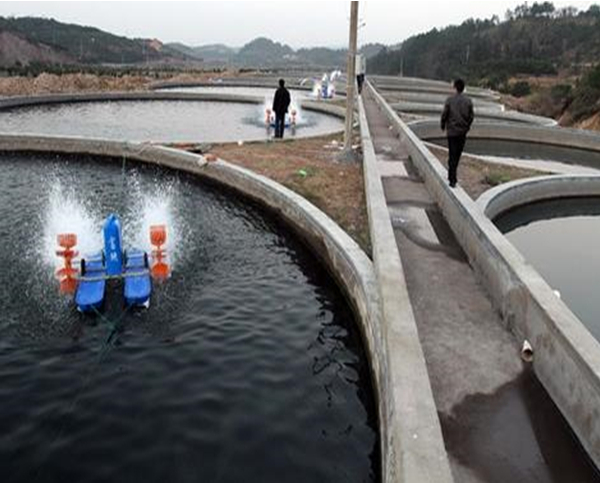 水產(chǎn)養(yǎng)殖智能監(jiān)控系統(tǒng)