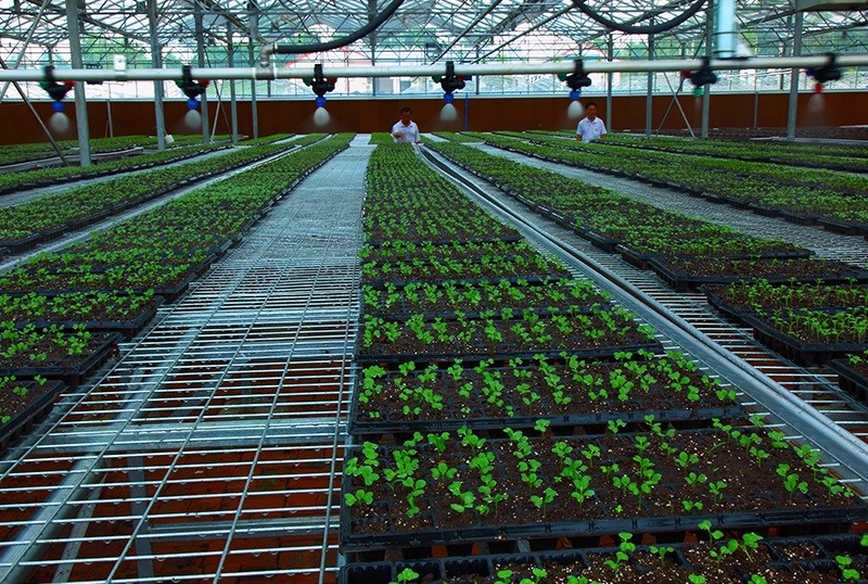 ˮ��һ�w�����ϵ�y(t��ng)��Ч�������ˮ��������