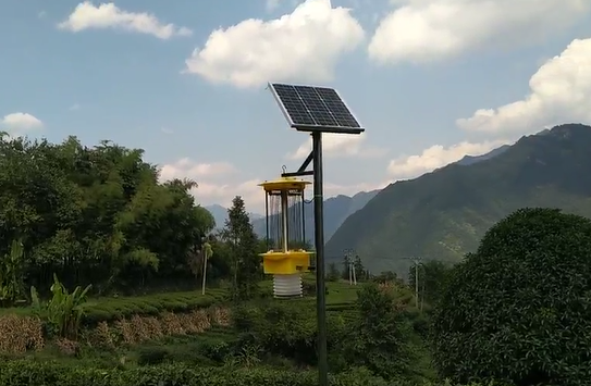 �����ښW�˲�@�������w���x��