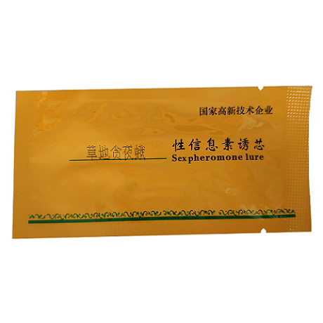 �ݵ�؝ҹ���Tо