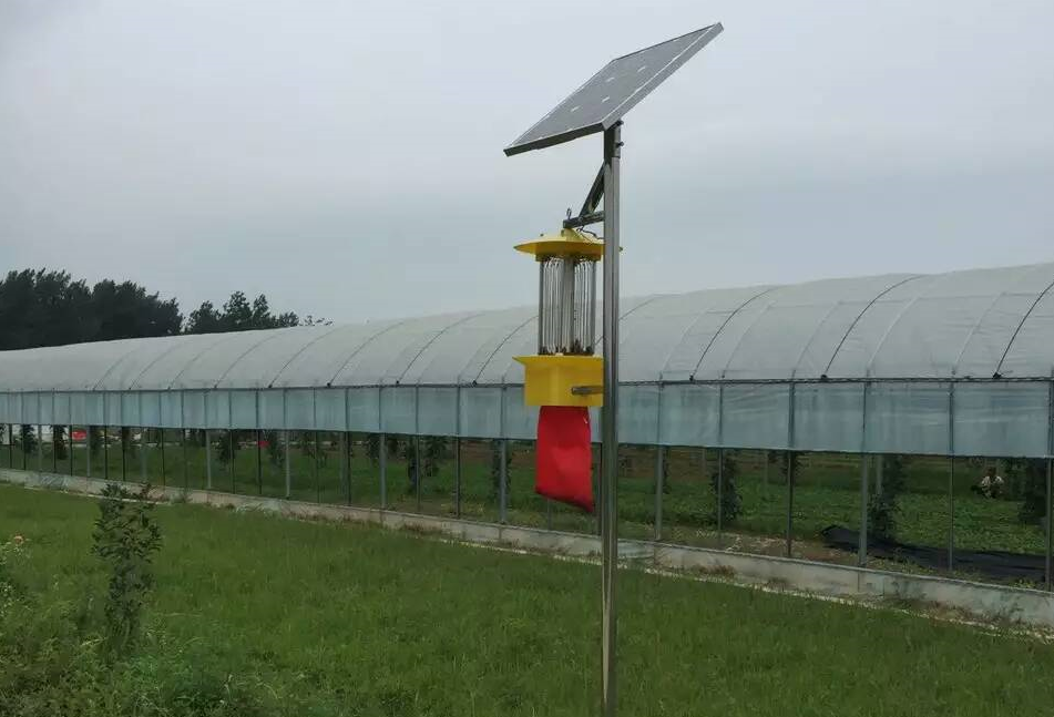 ̫��ܚ��x��