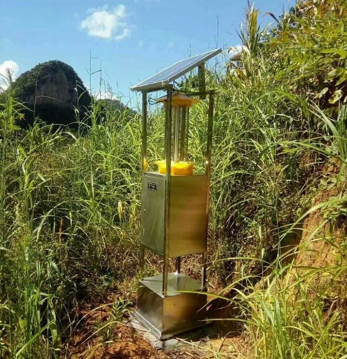 ���w���x��