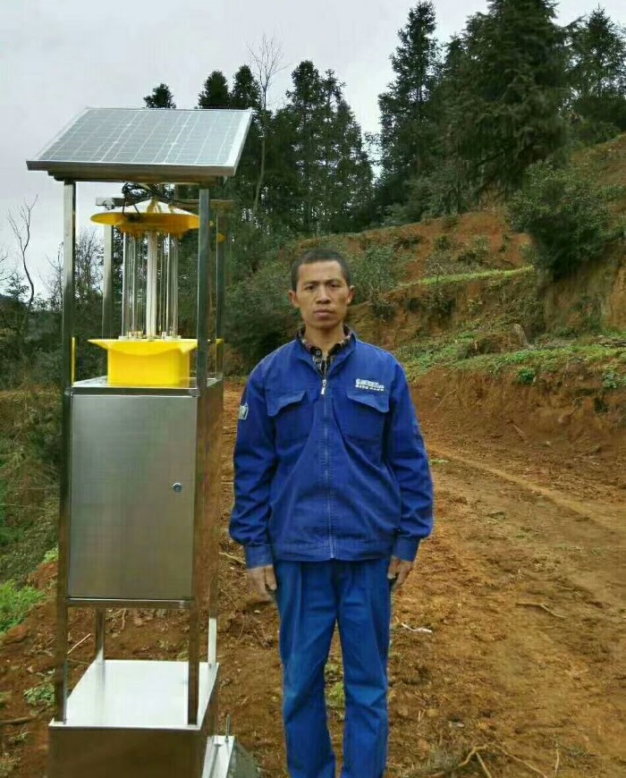 ���w���x��