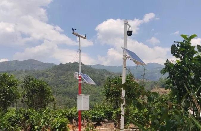 鳳慶茶園利用云飛自動氣象站等設備實現(xiàn)智能化管理