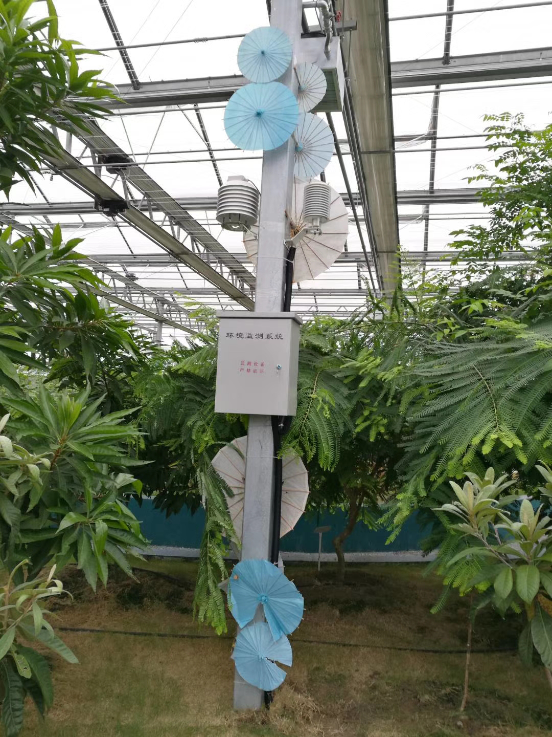 ���ҭh(hu��n)���O(ji��n)�y