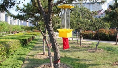 頻振式交流電殺蟲燈