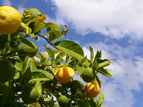 ��(j��ng)�^���x�����κ�ę���