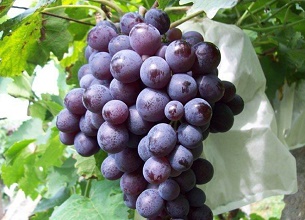 ��(j��ng)�^̫��ܚ��x�����κ��ԭ���B(t��i)����