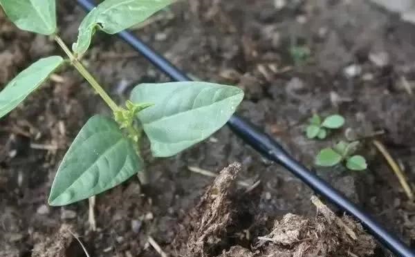 ˮ��һ�w�����g(sh��)