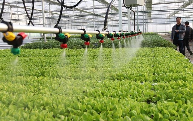 ˮ��һ�w��