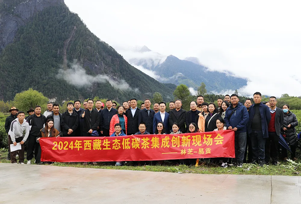 ���B(t��i)��̼��@��̽�� ���w�Ƽ�������a(ch��n)�I(y��)���|(zh��)���l(f��)չ