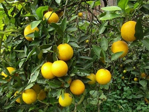 ��(j��ng)�^̫��ܚ��x�����εĸ̽ۈ@