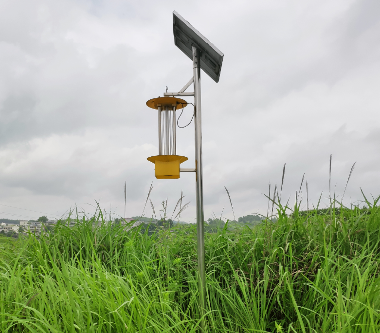 ���w̫��ܚ��x��