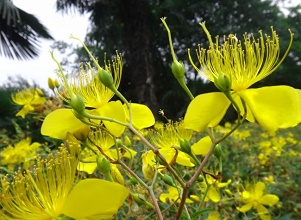 ��(j��ng)�^(gu��)̫�(y��ng)�ܚ��x(ch��ng)�����κ�Ľ��y��