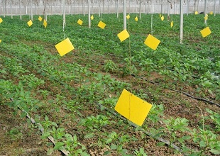 ճ�x(ch��ng)��