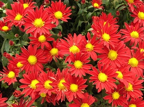 ��(j��ng)�^(gu��)̫�(y��ng)�ܚ��x(ch��ng)�����κ�ľջ�