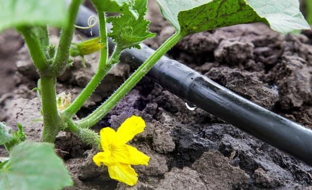 ˮ��һ�w�����g(sh��)