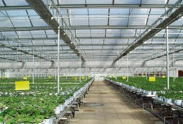 ���ܜ��Ҵ���