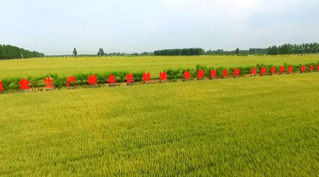 ���ߘ�(bi��o)��(zh��n)�r(n��ng)������ģ���ξ��ƪ��һ���֙C�ͷN�����ǻ��w���o�S�գ�