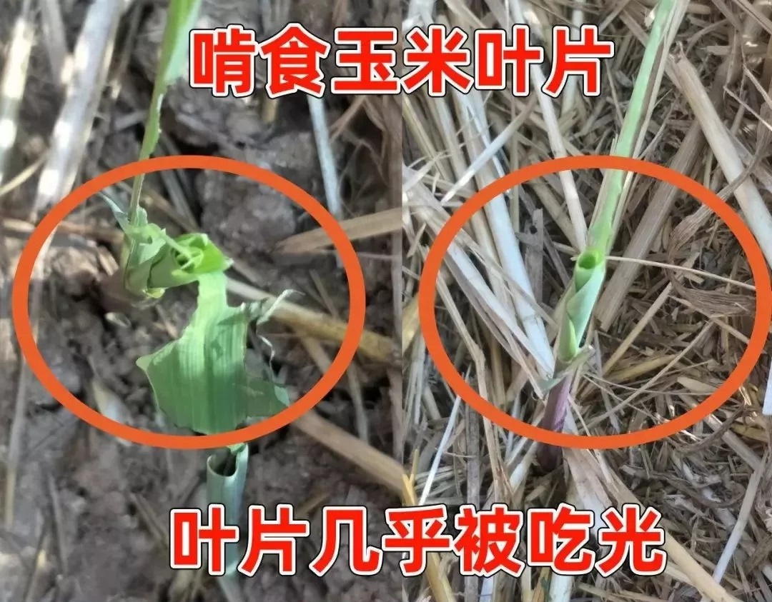 ���βݵ�؝ҹ�����߿՜y��������К����Ե�����