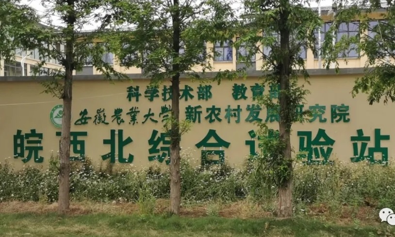 ���w�Ƽ����������C��ԇ�վ���O(sh��)���x���O(ji��n)�y�c