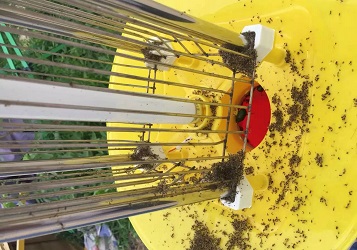 �l��ʽ���x��