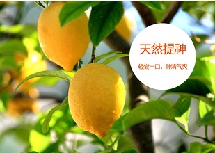 經(jīng)過太陽能殺蟲燈防治后的檸檬