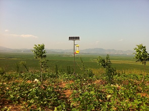 ̫�(y��ng)�ܚ��x(ch��ng)��