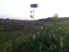 ̫��ܚ��x��