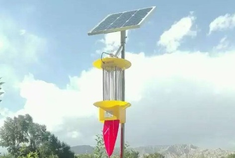 太陽(yáng)能殺蟲(chóng)燈