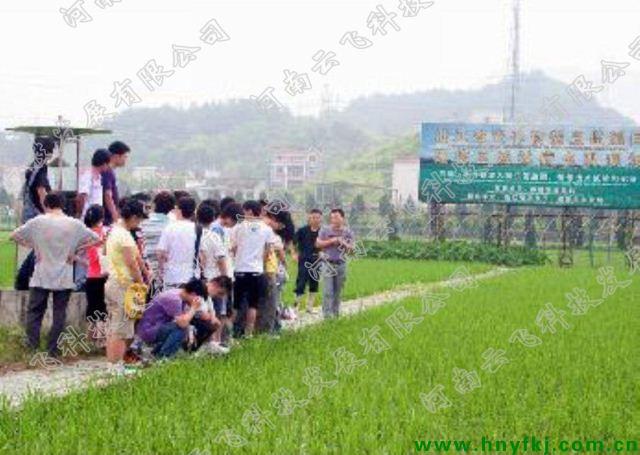 �����r��W�����ҹ�˾�M������������`���