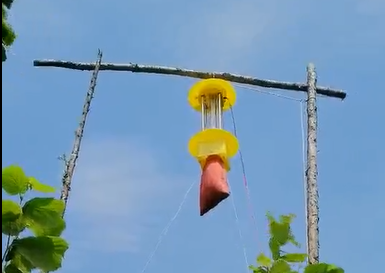 ���w���x�����xЧ��׌�͑��B�B�Qٝ