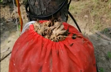 �@һ���ӵĺ��x��������õČ����C��