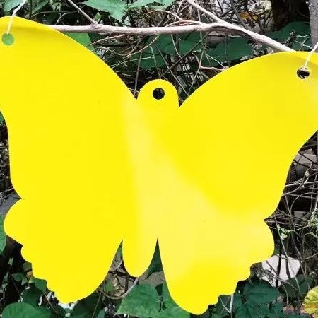 �����T�x��