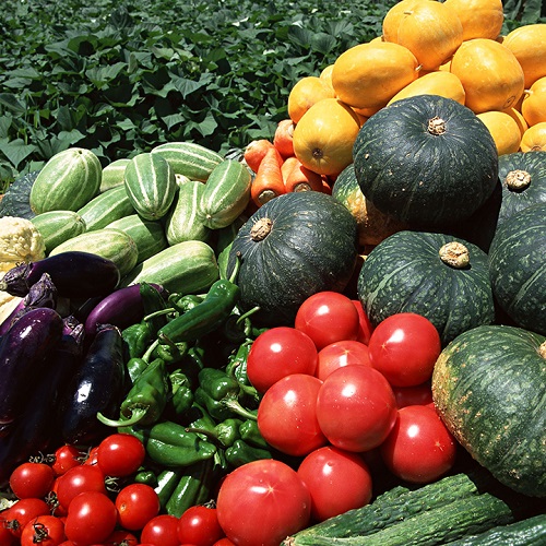 �r(n��ng)�a(ch��n)Ʒ�|(zh��)����ȫ׷��ϵ�y(t��ng)