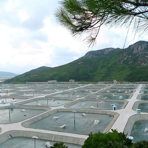 ˮ�a�B(y��ng)ֳ���ܱO(ji��n)��ϵ�y(t��ng)