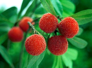 ��(j��ng)�^̫��ܚ��x�����κ�ė�÷