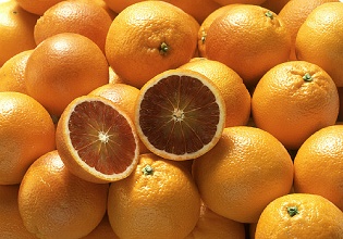 經(jīng)過(guò)太陽(yáng)能殺蟲(chóng)燈防治后的紅橙