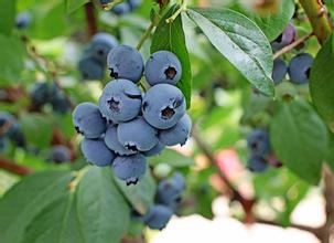 ��(j��ng)�^���x�����κ���{(l��n)ݮ