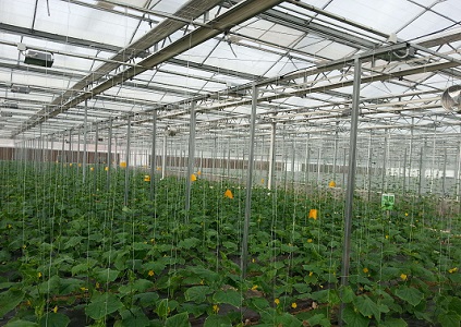 ���Ҵ������ܿ���ϵ�y(t��ng)