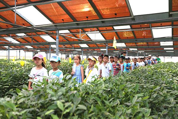 ���ܜ��Ҵ���