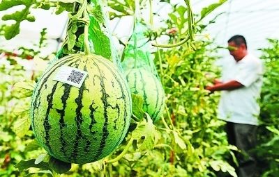 �r(n��ng)�a(ch��n)Ʒ�|����ȫ׷��ϵ�y(t��ng)