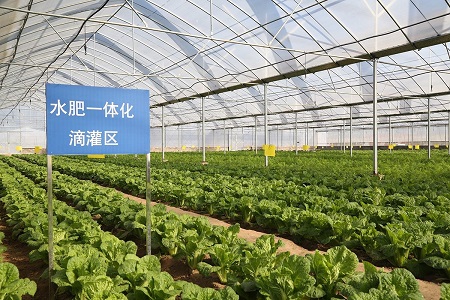 �r(n��ng)�I(y��)��(li��n)�W(w��ng)